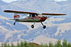 FLA_56-Visiting-Cessna-140-Jul-11-2009-by-Tom-Reeves.t.jpg