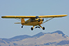 FLA_81-Visiting-Cub-J5A-Aug-1-2009-by-Tom-Reeves.t.jpg